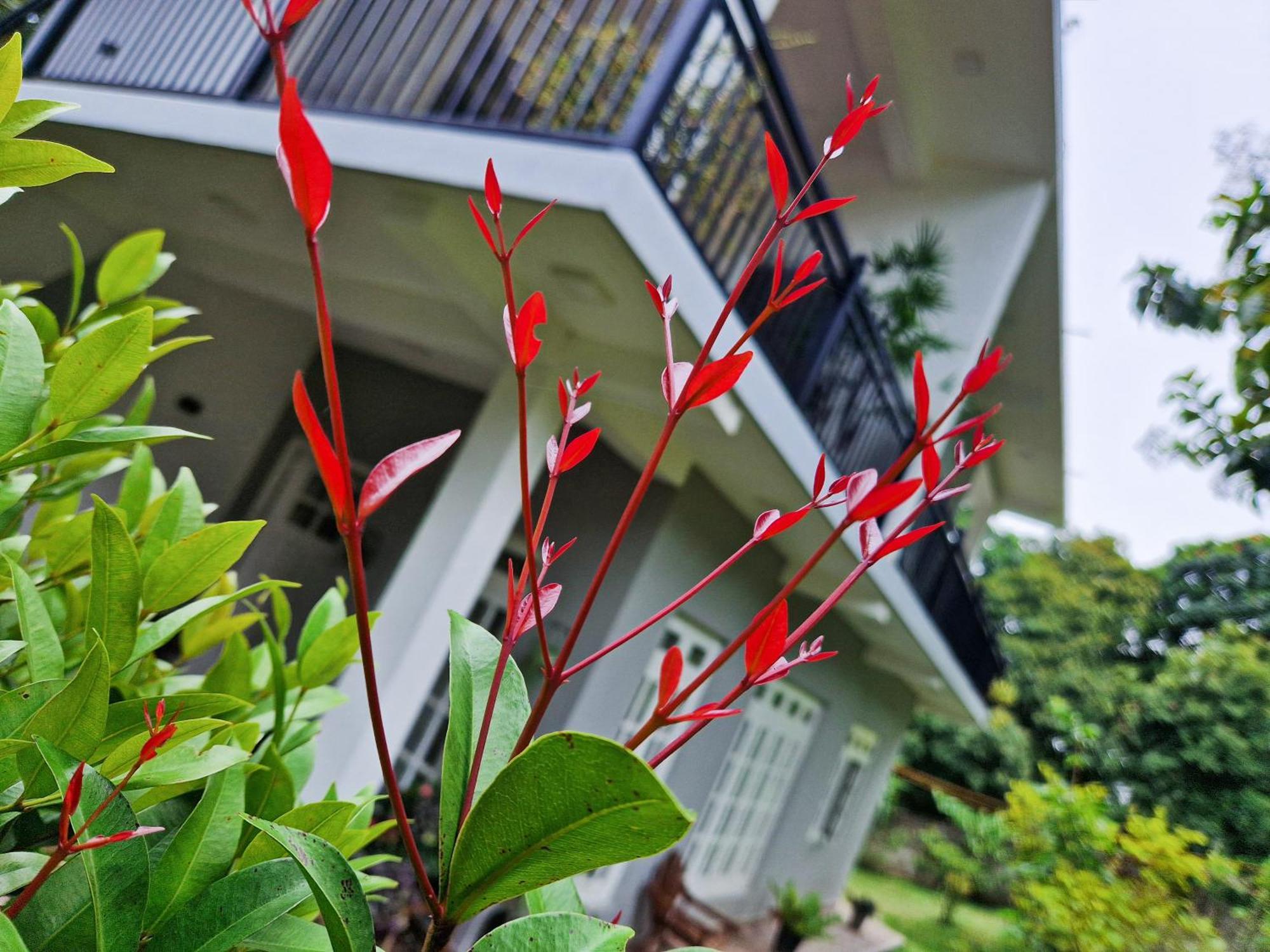 Villa Sole Kandy Exterior photo