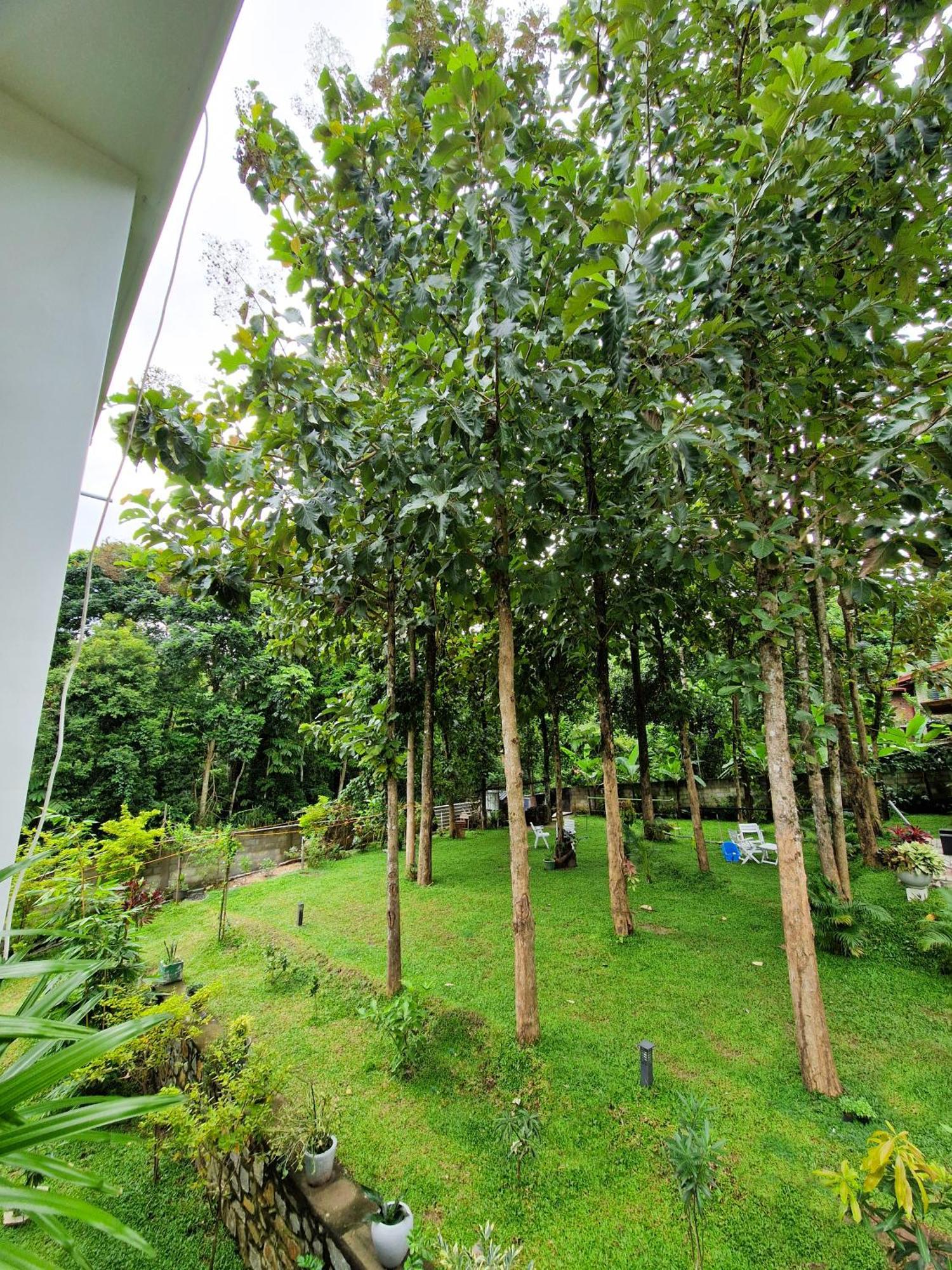 Villa Sole Kandy Exterior photo